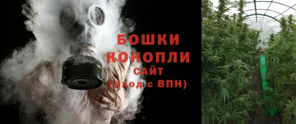 сатива Беломорск
